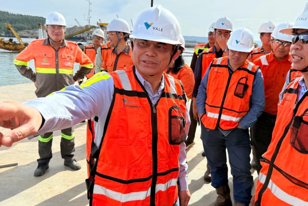 Direktur MIND ID Apresiasi Pengelolaan Proyek Hilirisasi PT Vale di Pomalaa, Progres HPAL Terus Menguat